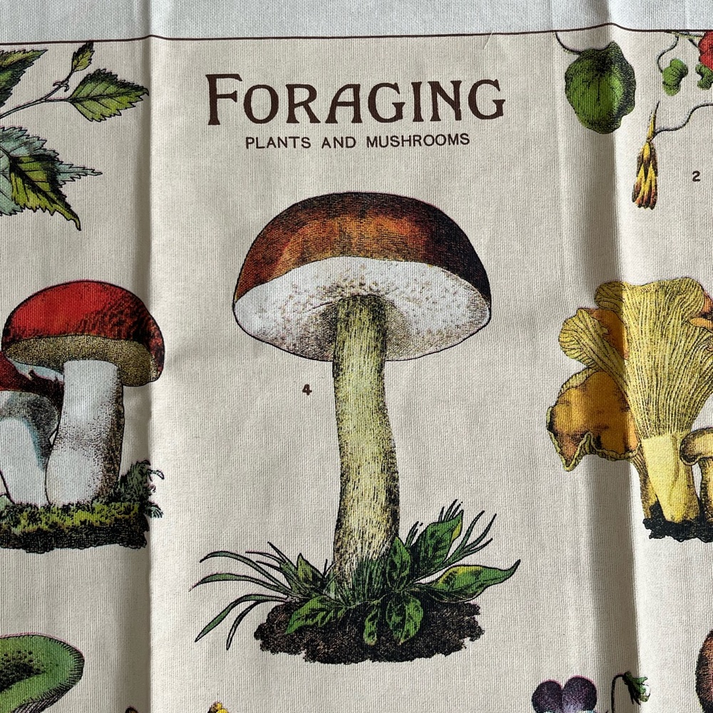 🎈2/$30 - NWOT “FORAGING Plants and Mushrooms” 100% Cotton Tea Towel - Picture 4 of 7
